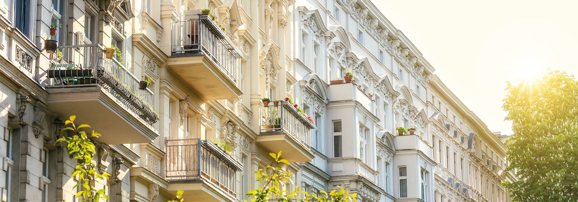 Immobilien 