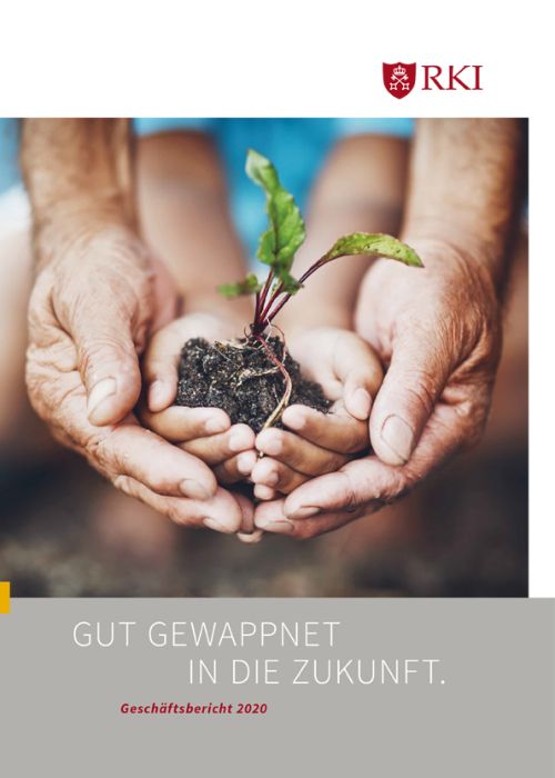 Geschäftsbericht 2020